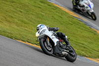 PJ-Motorsport-2019;anglesey-no-limits-trackday;anglesey-photographs;anglesey-trackday-photographs;enduro-digital-images;event-digital-images;eventdigitalimages;no-limits-trackdays;peter-wileman-photography;racing-digital-images;trac-mon;trackday-digital-images;trackday-photos;ty-croes